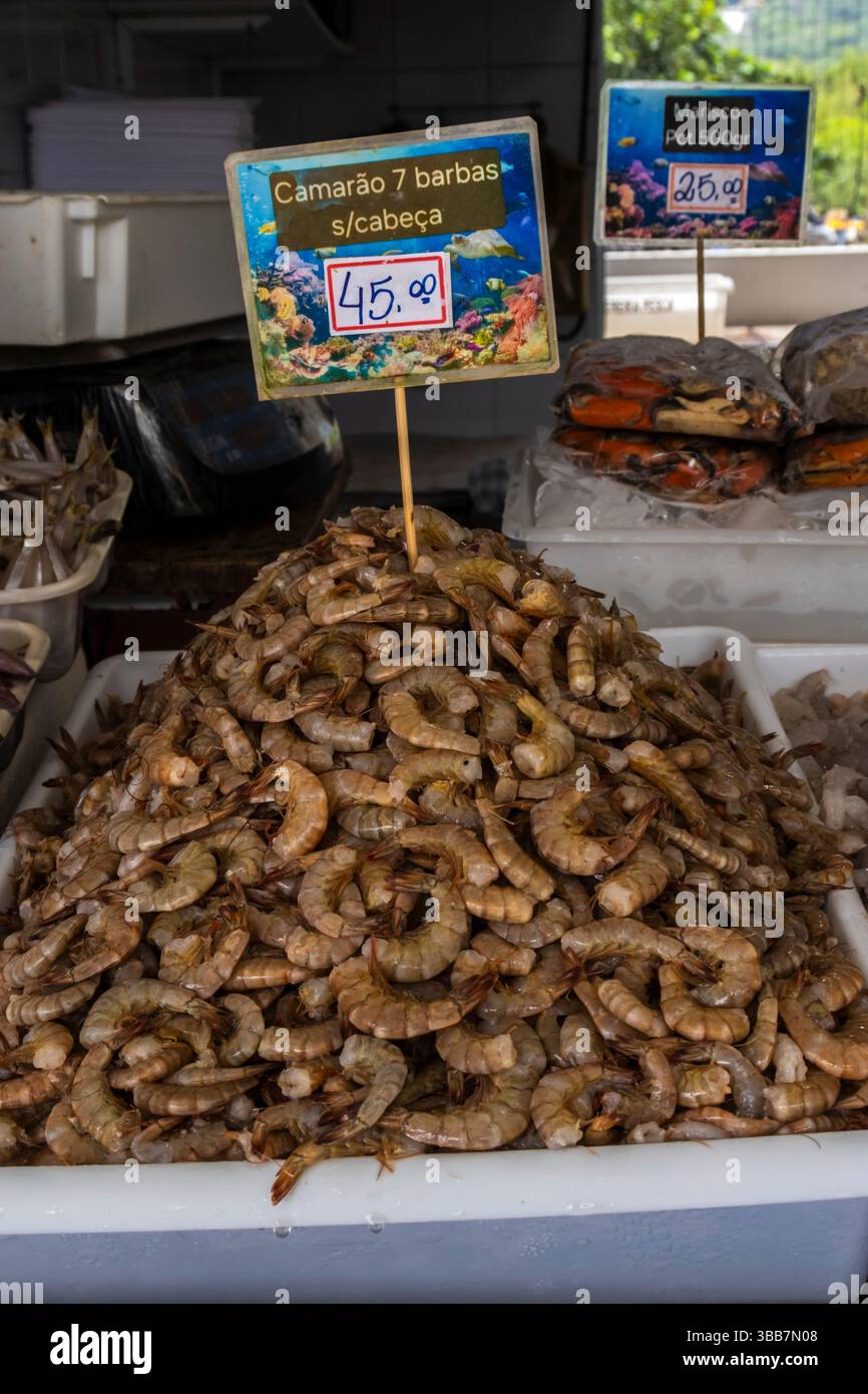 Peruibe, Sao Paulo, Brasilien. Januar 2025, Brasilien. Frische Meeresfrüchte auf einem Fischmarkt in Peruíbe. Verschiedene Garnelen, Tintenfische, Tintenfische und Muscheln Stockfoto