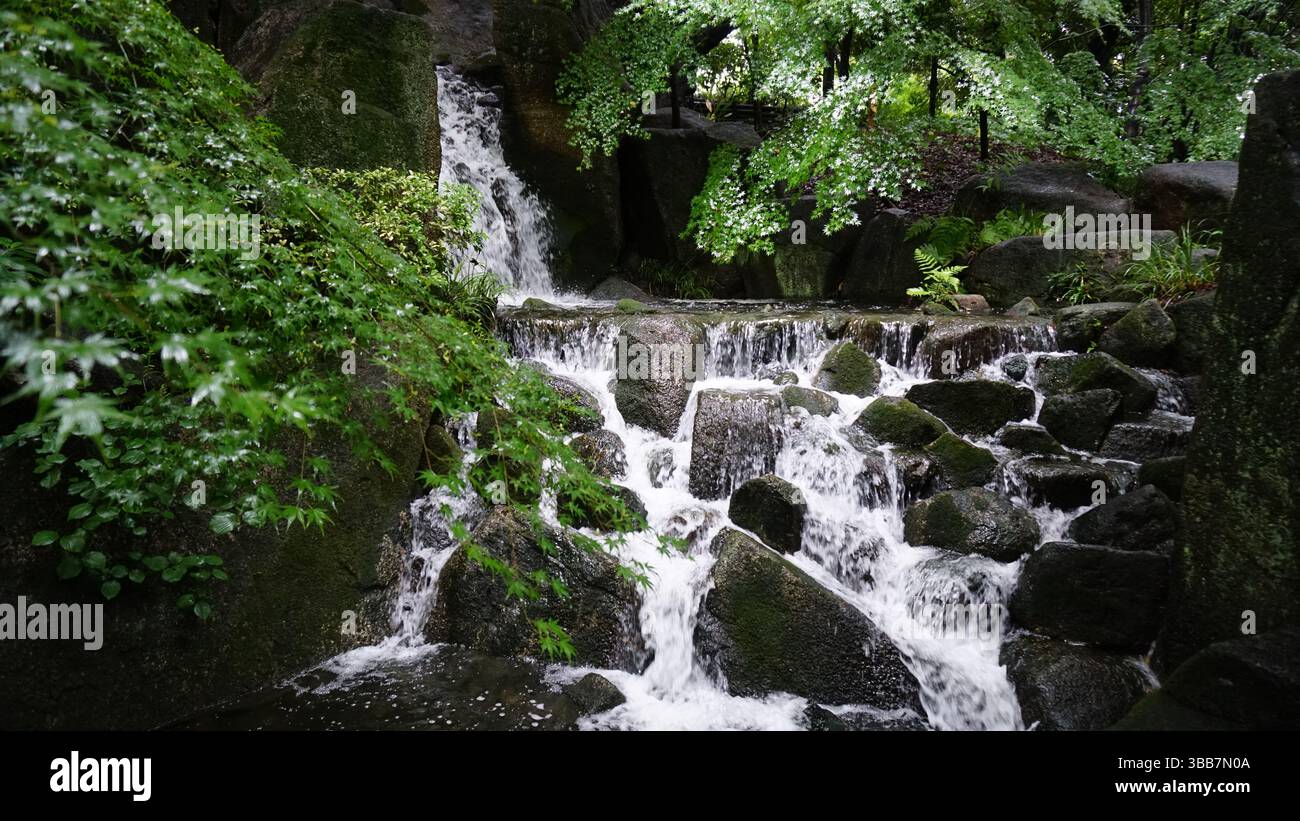 Tokugawa Garden – ruhiger japanischer Landschaftsgarten in Nagoya Stockfoto