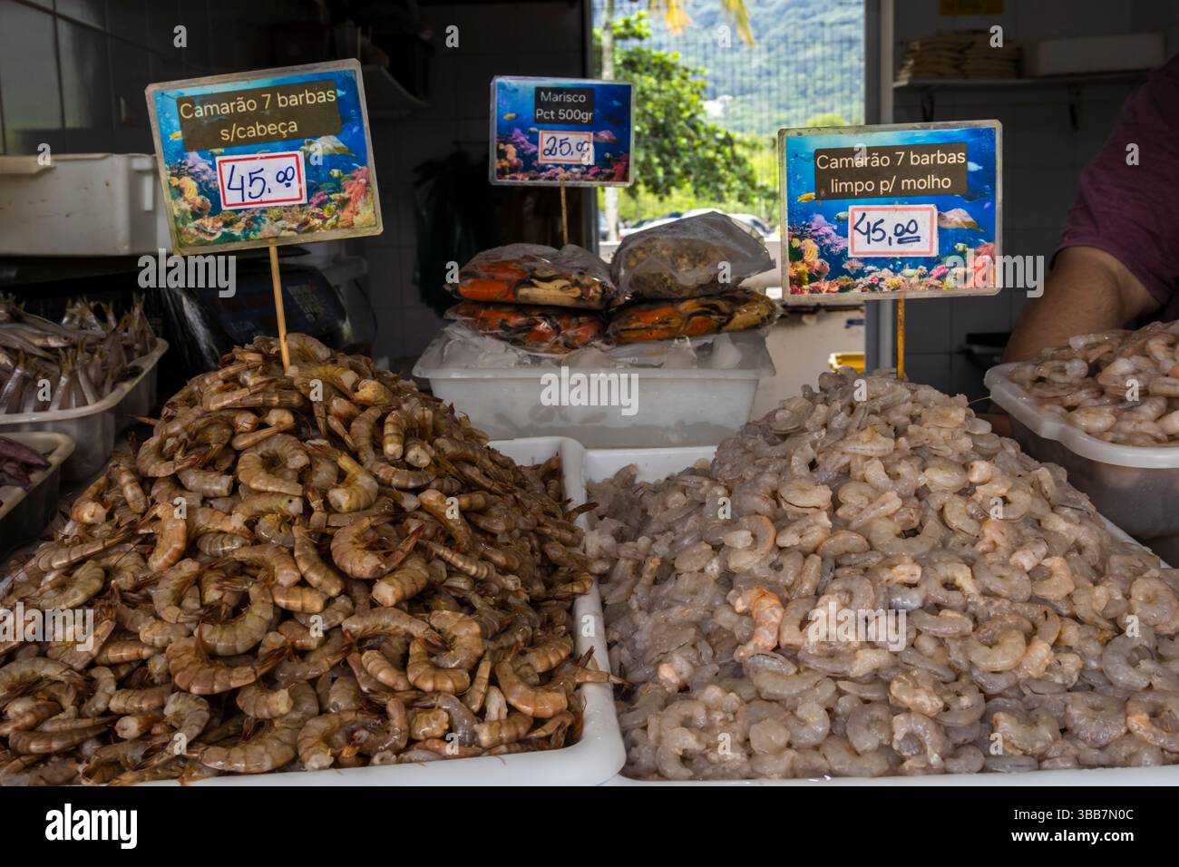 Peruibe, Sao Paulo, Brasilien. Januar 2025, Brasilien. Frische Meeresfrüchte auf einem Fischmarkt in Peruíbe. Verschiedene Garnelen, Tintenfische, Tintenfische und Muscheln Stockfoto