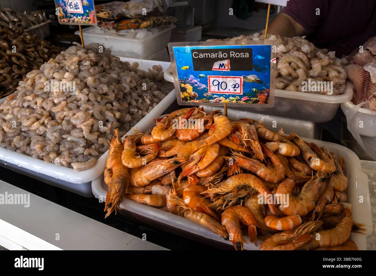 Peruibe, Sao Paulo, Brasilien. Januar 2025, Brasilien. Frische Meeresfrüchte auf einem Fischmarkt in Peruíbe. Verschiedene Garnelen, Tintenfische, Tintenfische und Muscheln Stockfoto