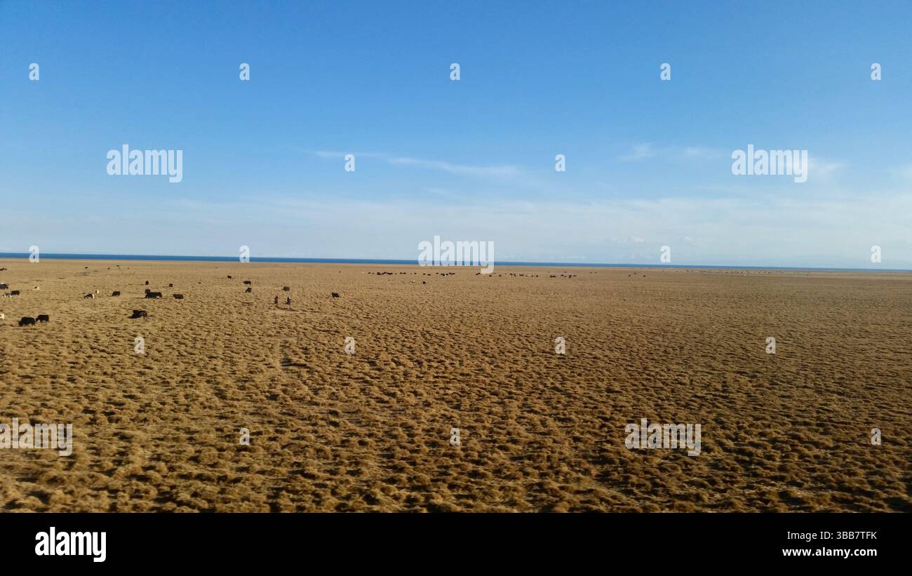 Kumbum Kloster und Qinghai See: Spirituelle und natürliche Wunder von Qinghai, China Stockfoto