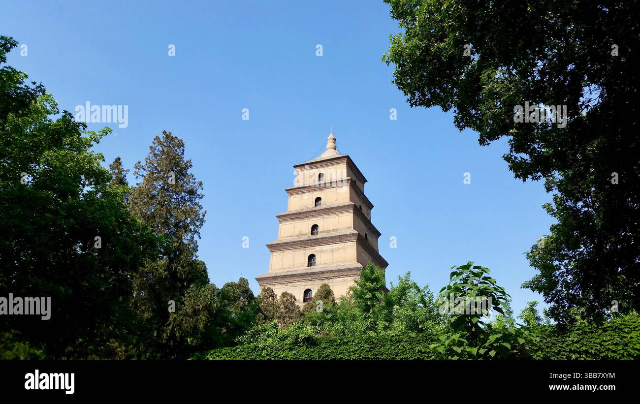 Riesige Wildganspagode in Xi'an, China – historisches buddhistisches Wahrzeichen Stockfoto