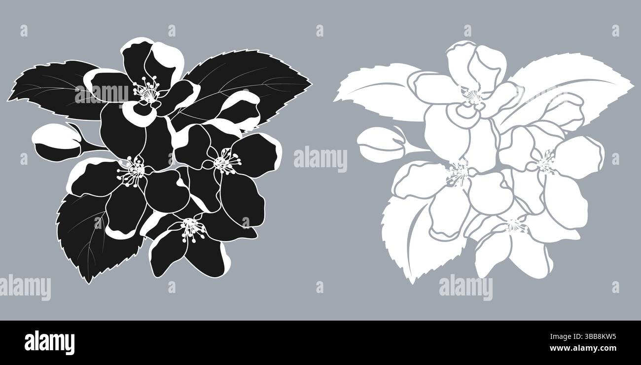 Apfelblüte Silhouette Frühlingsfrucht Baum Blumen Stock Vektor