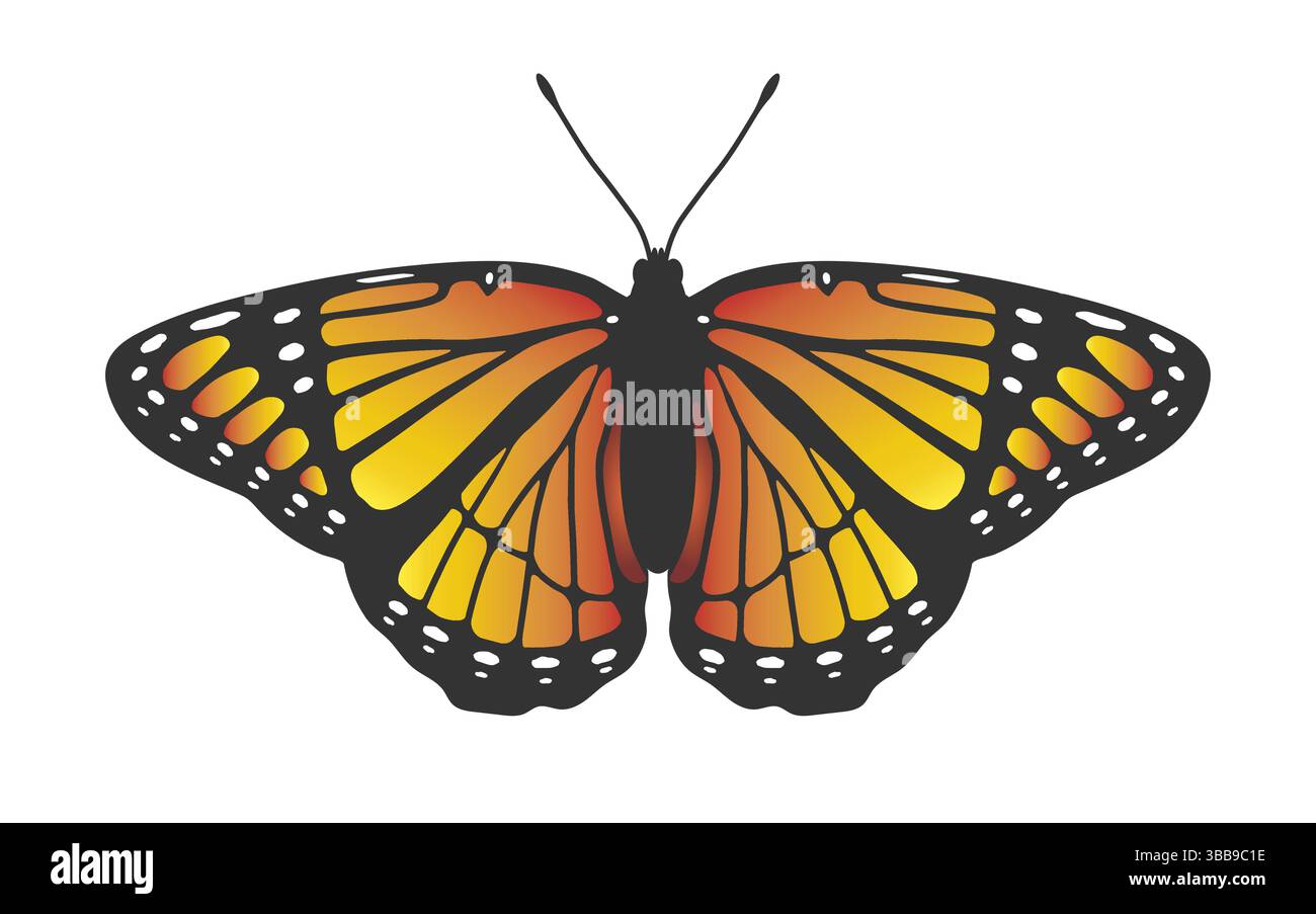 Symbol für Monarch Butterfly Silhouette. Fliegende Schmetterlingsmotte Logo-Design Silhouette Symbol Symbol. Logodesign mit fliegenden Schmetterlingsmotten. Stock Vektor