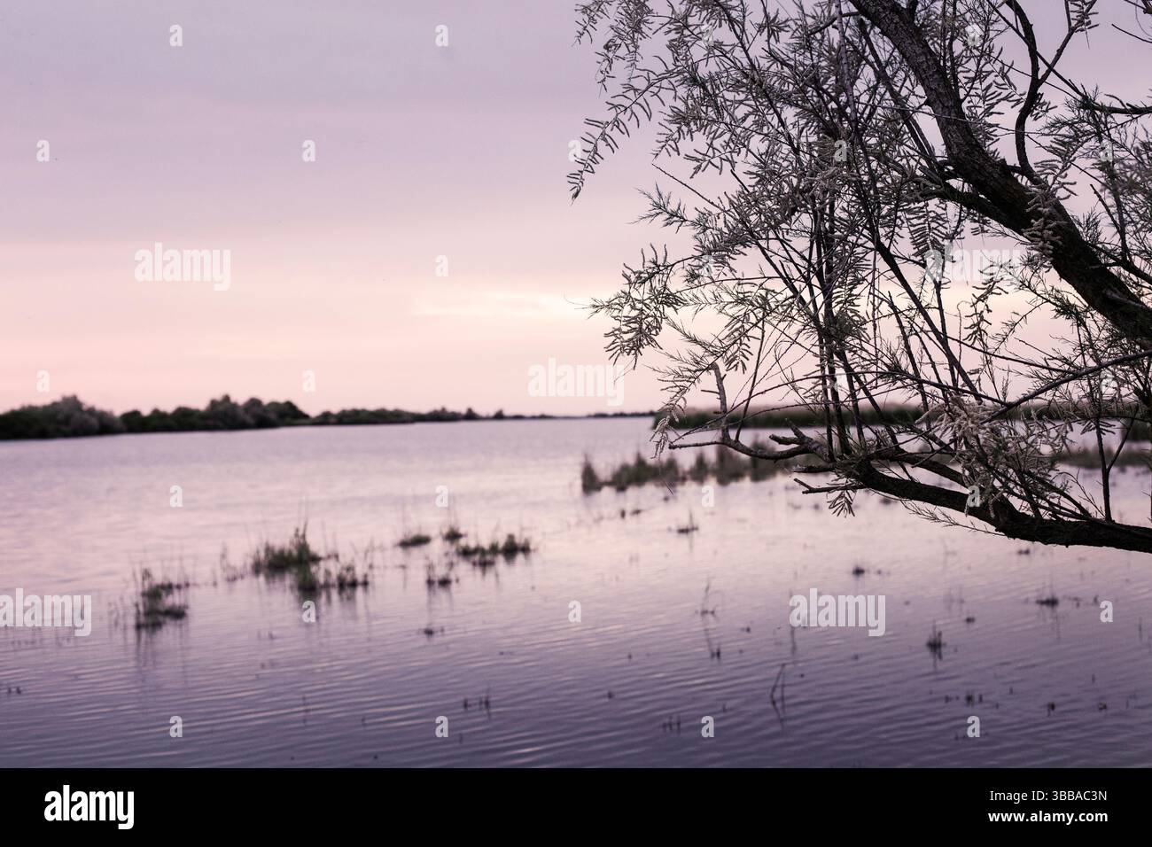 Abendlicher Blick auf den Fluss Po bei Sonnenuntergang, Natur und Stille Stockfoto