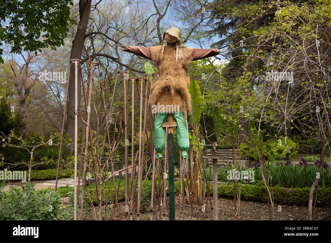 Real Jardín Botánico de Madrid, das über 5000 verschiedene Blumenarten beherbergt, befindet sich neben dem Prado-Museum im Zentrum von Madrid, Spanien, Europa Stockfoto