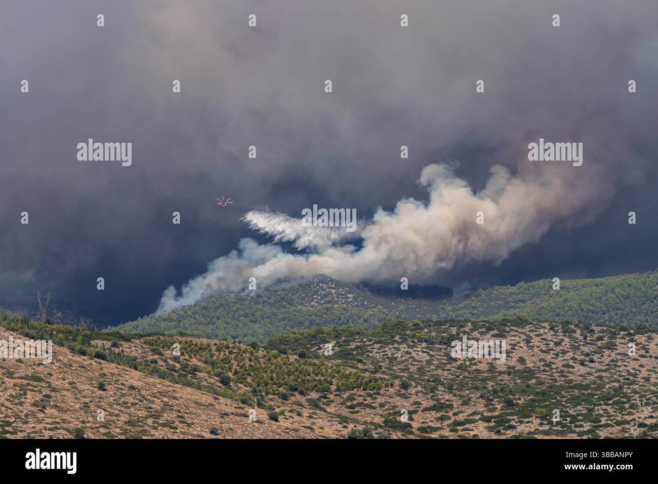Ein Löschhubschrauber lässt Wasser über einem Waldbrand fallen. Bei einem Notfall bei einer Naturkatastrophe steigt dichter Rauch über den Bäumen auf Stockfoto