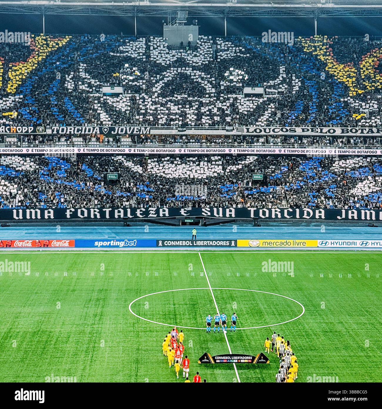 Das Nilton Santos Stadium wird während des Botafogo-Spiels in Rio de Janeiro mit leidenschaftlichen Fans begeistern Stockfoto