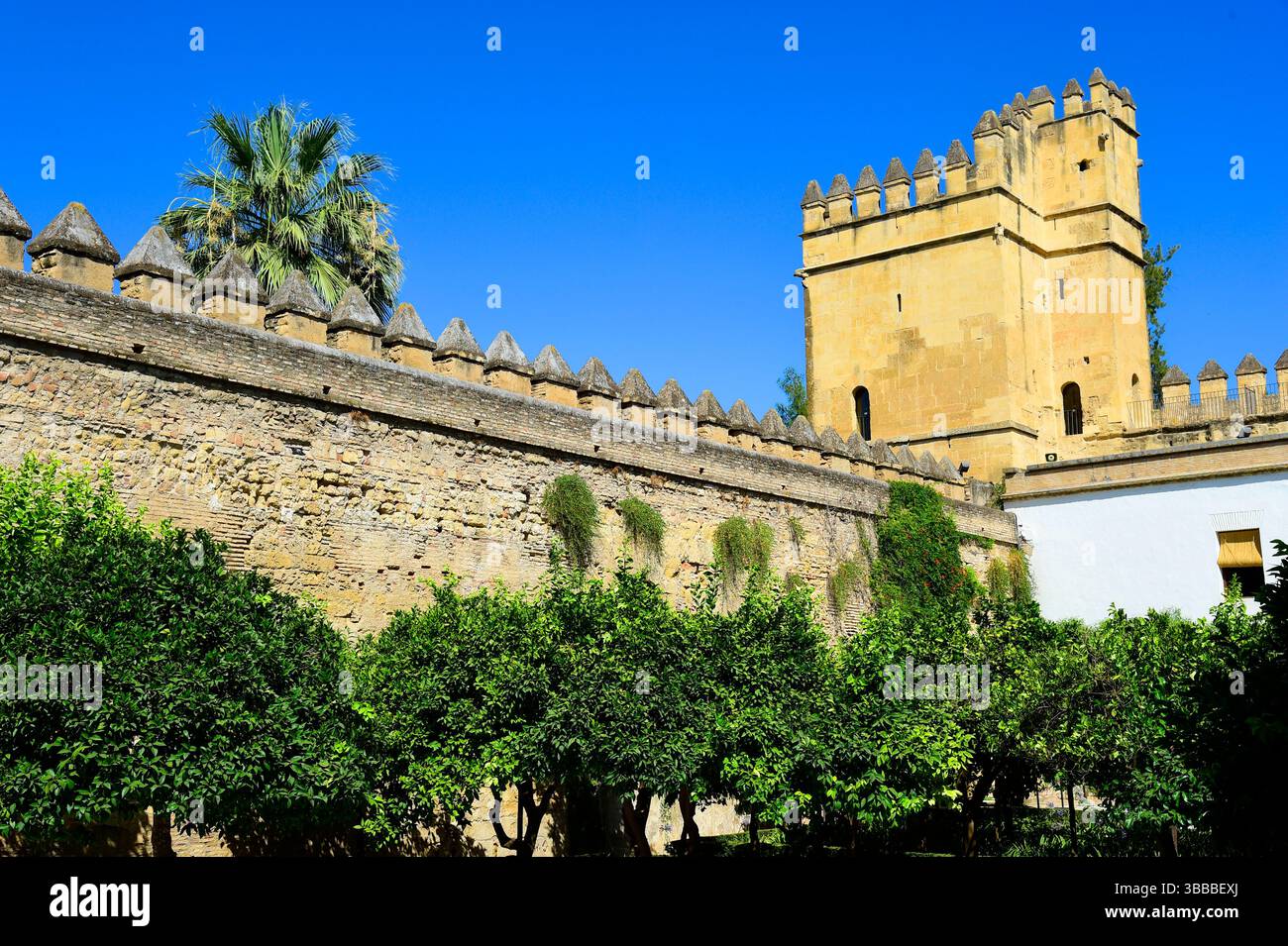 Alcazar de los Reyes Cristianos, Cordoba, Andalusien, Spanien. Stockfoto