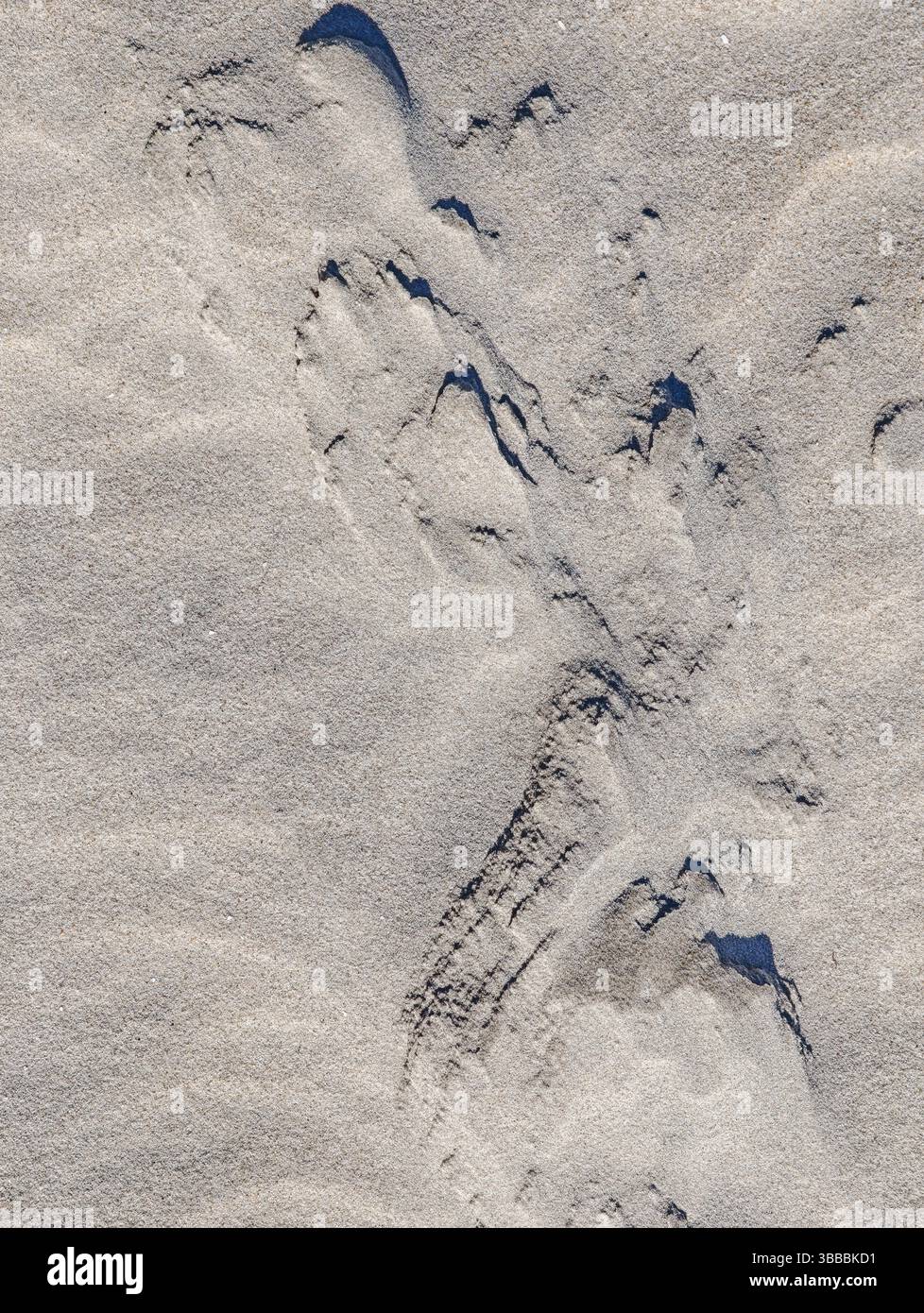 Blick hinunter auf den Sandstrand von St. Peter Ording, Nordsee, verschiedene grafische Sandformationen und Landschaften, Schleswig-Holstein, Norddeutschland Stockfoto