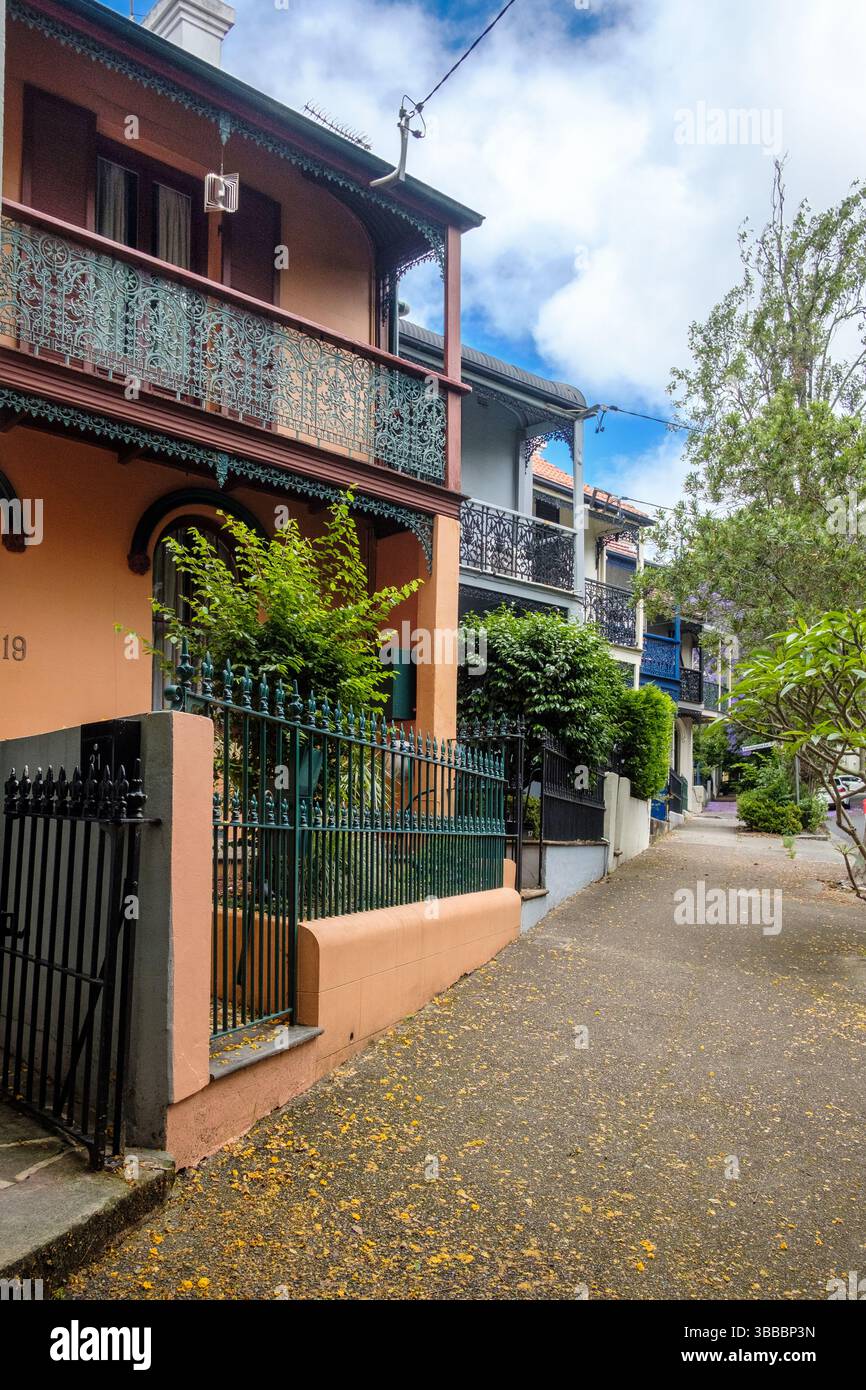 Charmante Häuser mit schmiedeeisernen Balkonen an der Cascade Street in Paddington in Sydney, Australien Stockfoto