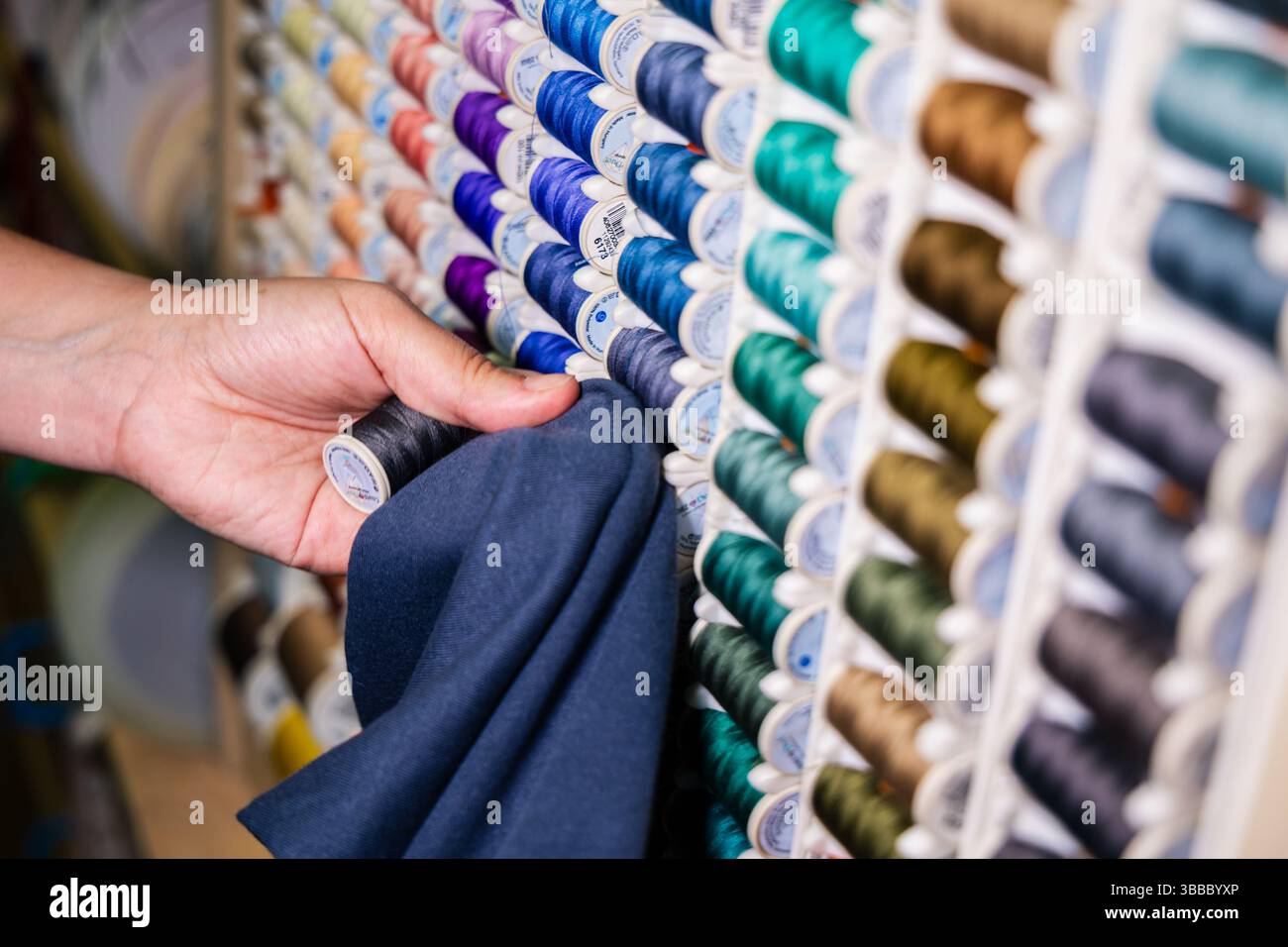 Handverlesene Auswahl des passenden dunkelblauen Nähgarns aus einem organisierten Regal mit bunten Spulen in einem Stoffgeschäft, wobei Farben mit marineblauem Stoff verglichen werden Stockfoto