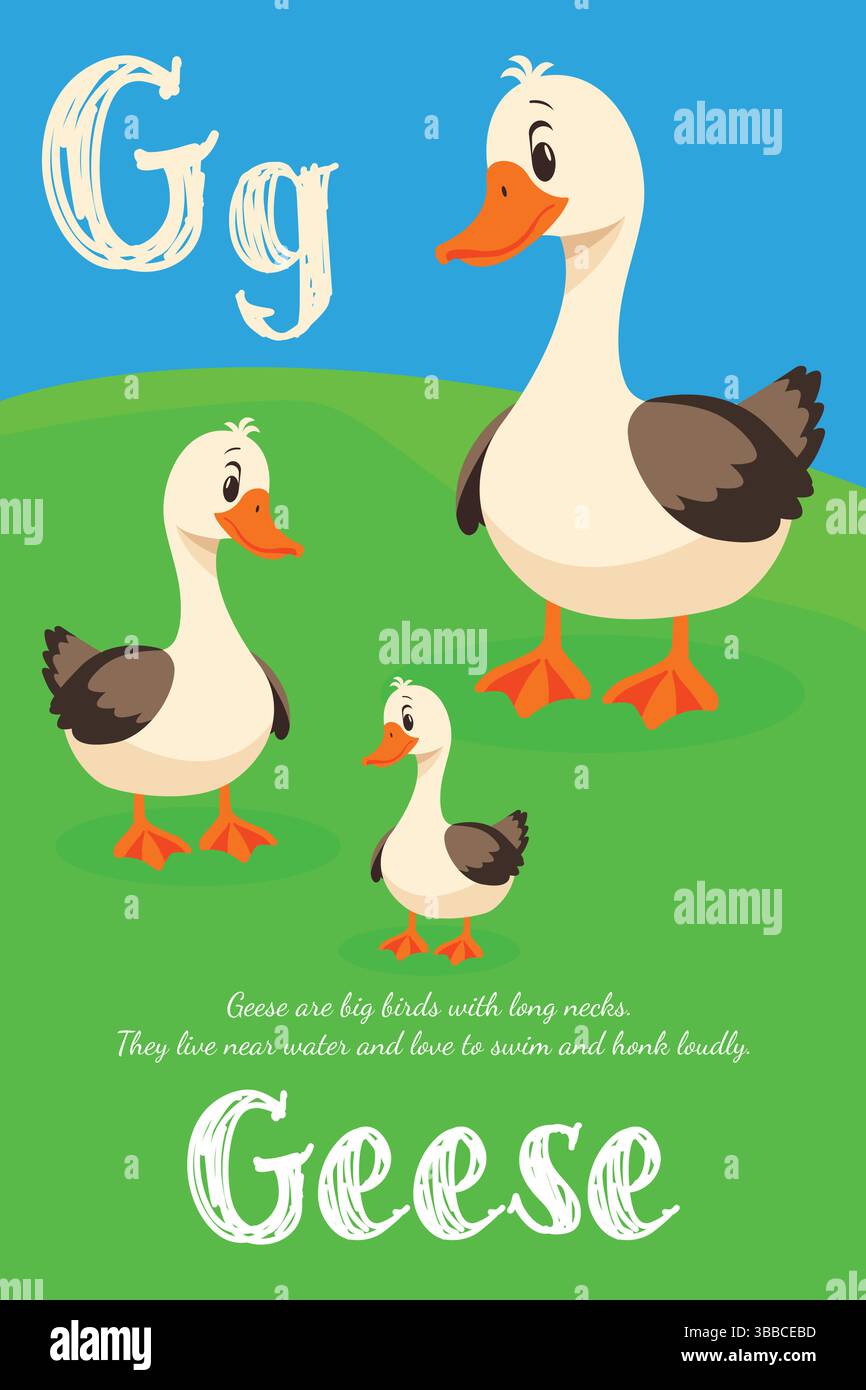 Kinder-Alphabet-Illustration für Buchstabe G mit Gänsen in flacher Vektorart. Stock Vektor