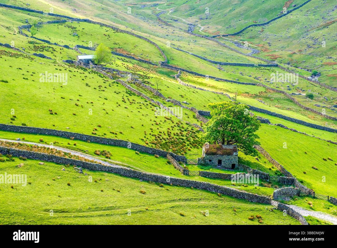 Eine alte Scheune und Trockenmauern im Lake District National Park, Cumbria, Großbritannien Stockfoto