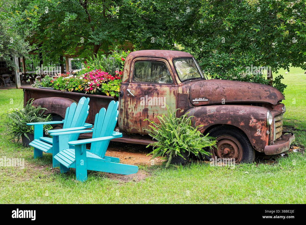 Alte rostende alte GMC 150 Farm Pick Up Truck wurde als farbenfrohe Dekoration mit Adirondack Stühlen auf einem Farm Market in Pike Road Alabama umfunktioniert. Stockfoto