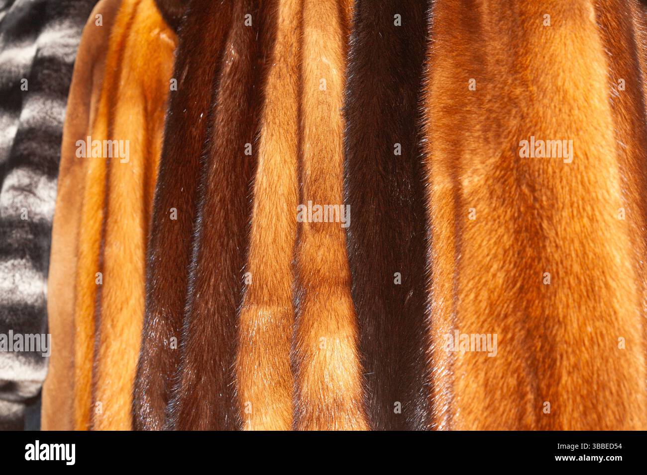Wintermäntel hängen an Kleiderbügeln, Nahaufnahme. Stockfoto