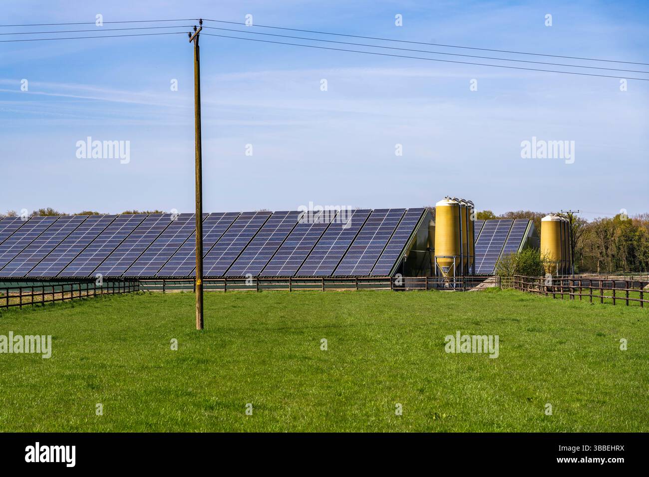 Landwirtschaftliche Ställe für die Tierhaltung, voll ausgestattet mit Photovoltaik-Modulen, bei Geldern, Nordrhein-Westfalen, Deutschland, Stockfoto