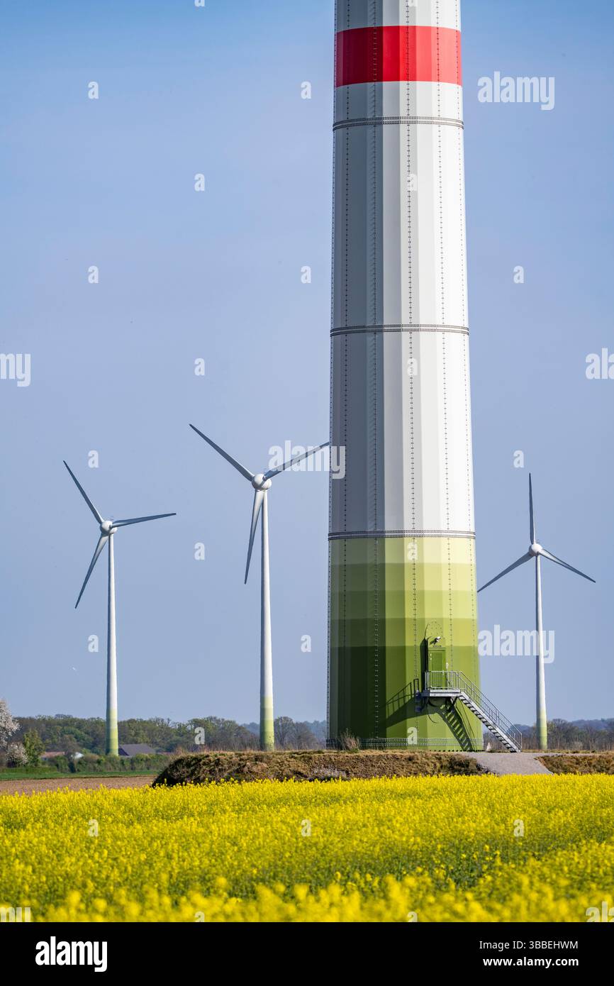 Windkraftanlagen, Windpark, bei Kerken, Rapsfeld in Blüte, Niederrhein, Nordrhein-Westfalen, Deutschland, Stockfoto
