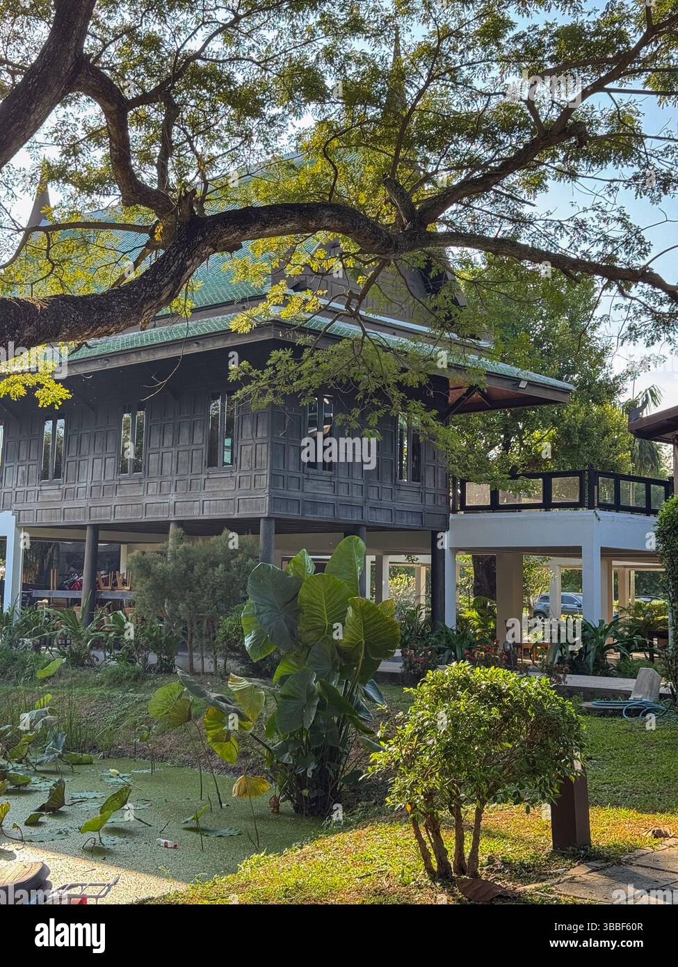 Bangkok Elephant Care Sanctuary Gebäude mit einem See und Lotusblumen, schöner tropischer Raum zum Schutz exotischer Tiere. Thailand Wildlife Sanctuary, Naturschutzzentrum für Elefanten. Stockfoto