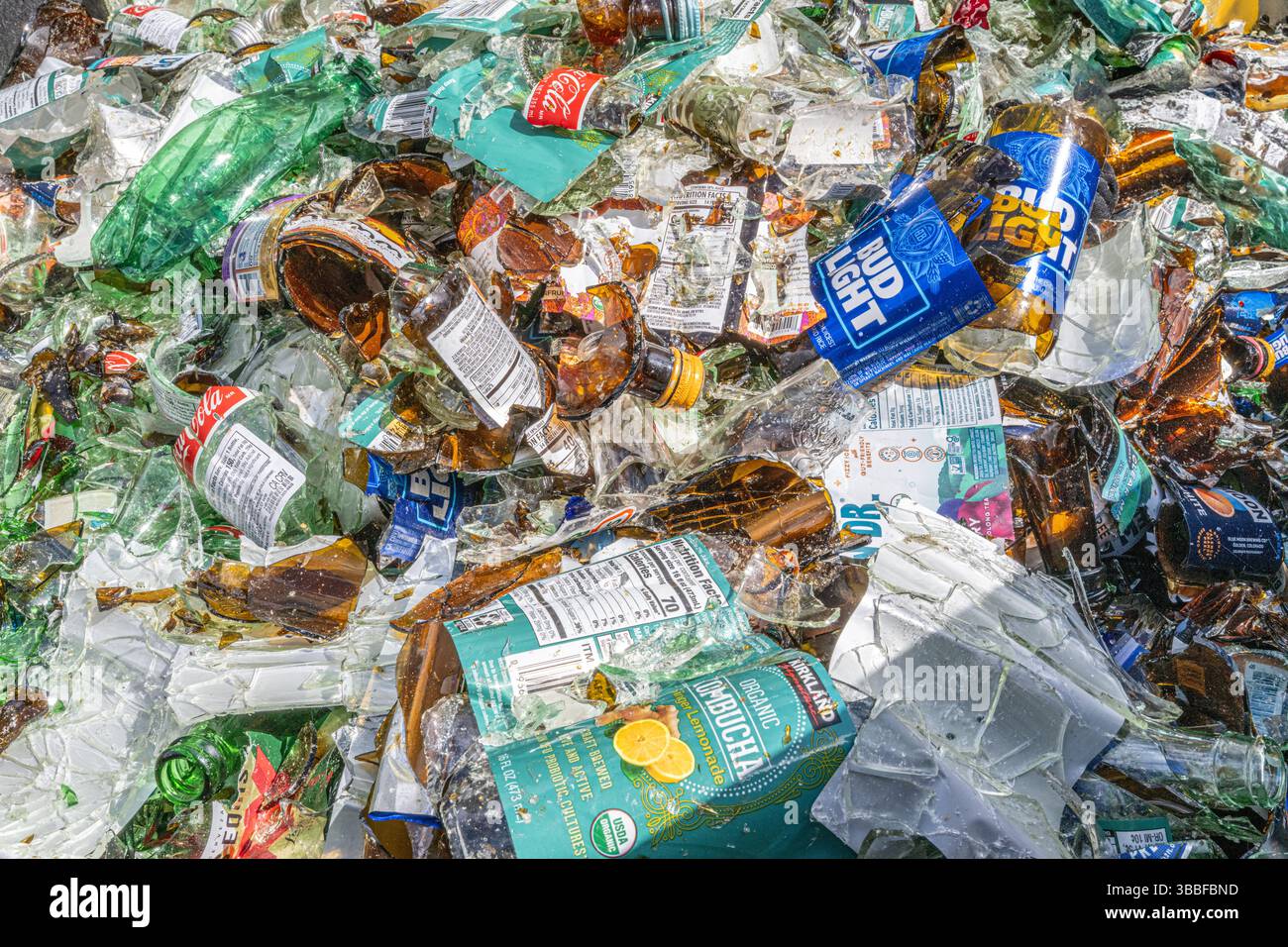 Zerbrochener Glasbehälter gefüllt mit zersplitterten Bud Light und Coca Cola Flaschen Glassplitter und Fragmente bereit für das Recycling Stockfoto