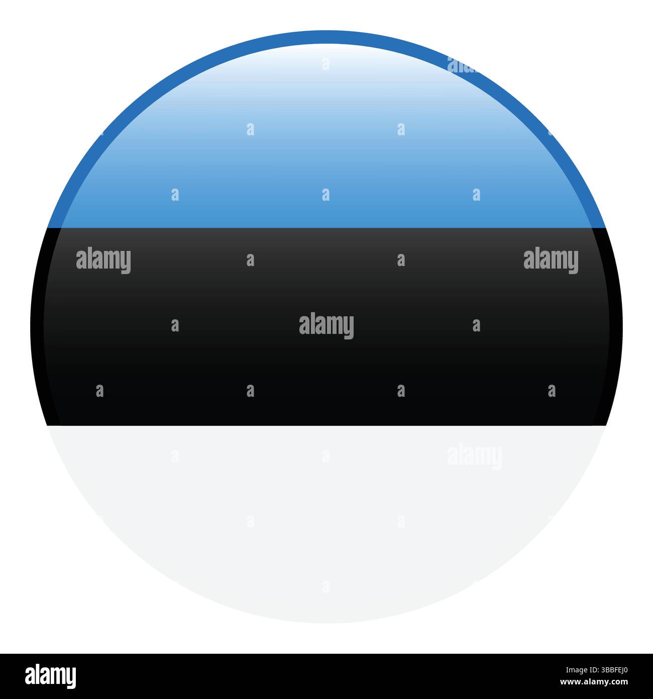 Flagge von Estland. Estland Kreisflagge 3d Logo Symbol Computer Vektor Illustration Design. Stock Vektor