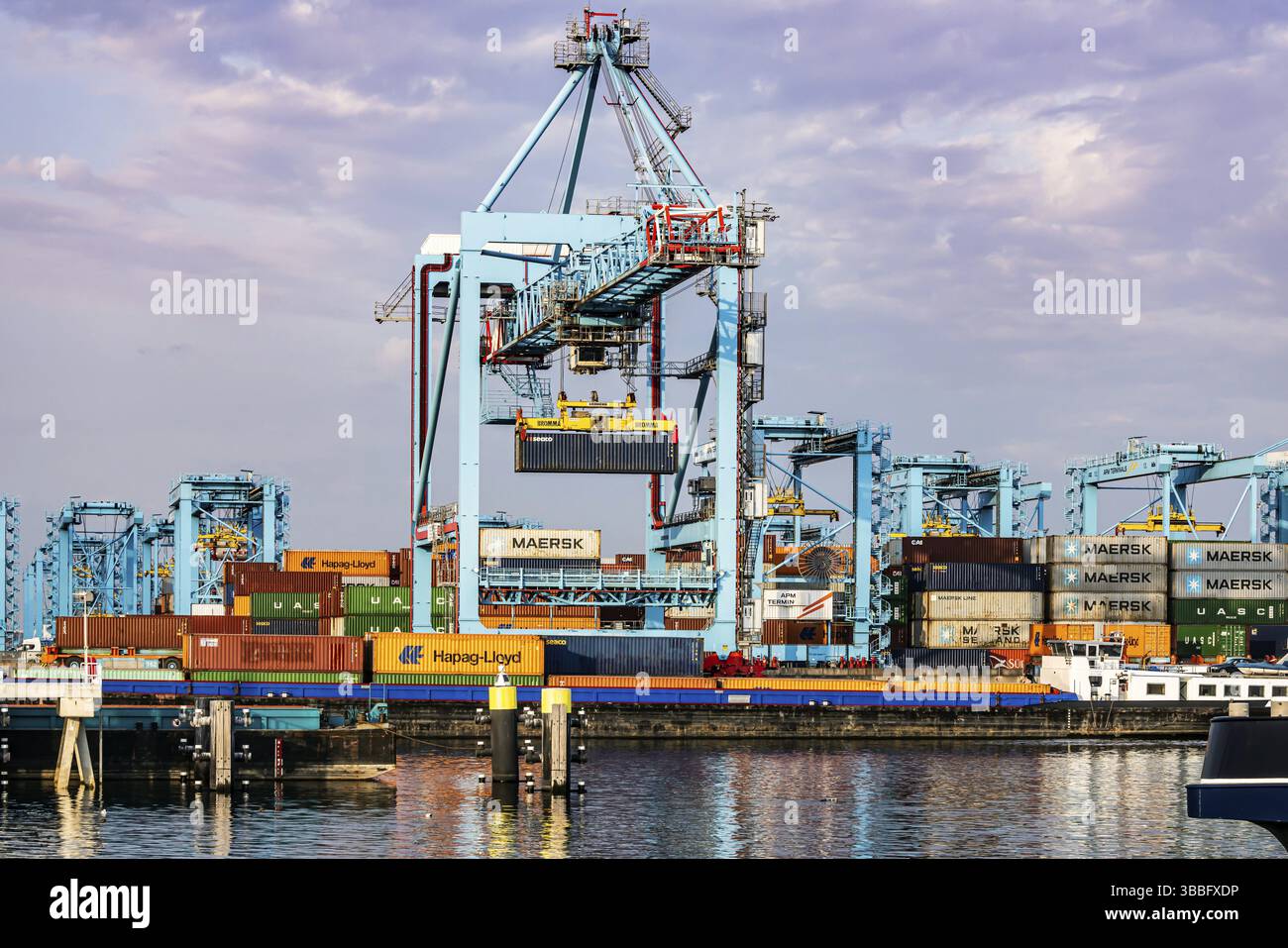 Containerterminal im Seehafen Rotterdam. Maasvlakte 2 Tiefseehafen auf künstlichem Landgebiet. Rotterdam, Zuid-Holland, Niederlande Stockfoto