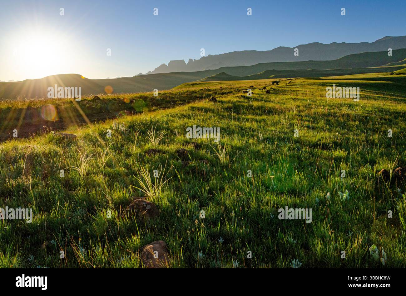 Atemberaubende Drakensberg-Landschaft am Cathedral Peak, Ukhahlamba Drakensberg Park, KwaZulu Natal, Südafrika - majestätische Berge und üppige Täler. Stockfoto
