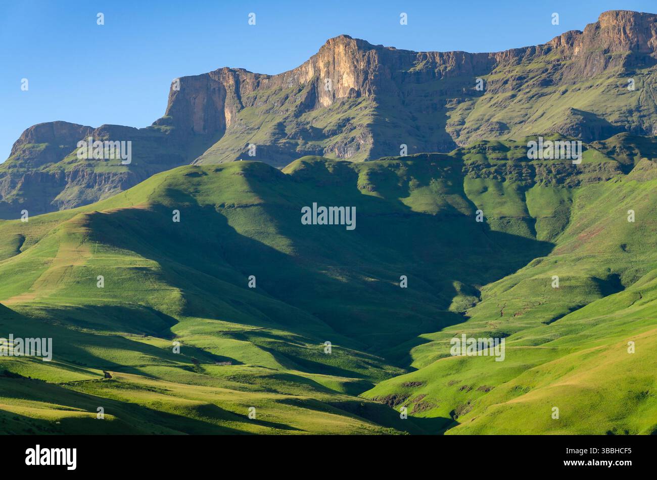 Atemberaubende Drakensberg-Landschaft am Cathedral Peak, Ukhahlamba Drakensberg Park, KwaZulu Natal, Südafrika - majestätische Berge und üppige Täler. Stockfoto