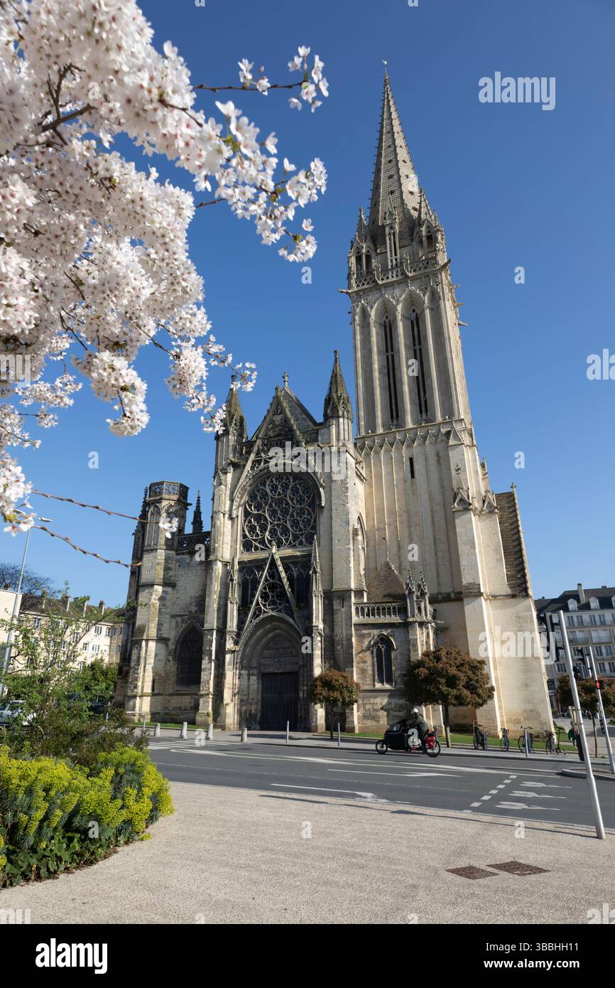 Eglise Saint-Pierre de Caen, Caen, Normandie, Frankreich, Europa Stockfoto