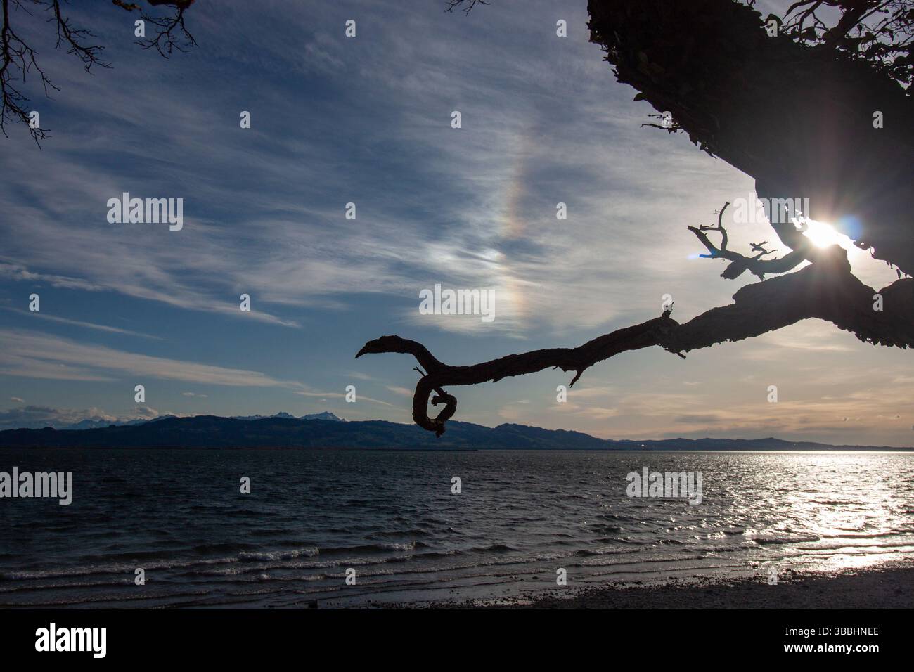 Sonnenhund-Phänomen über dem Bodensee Stockfoto