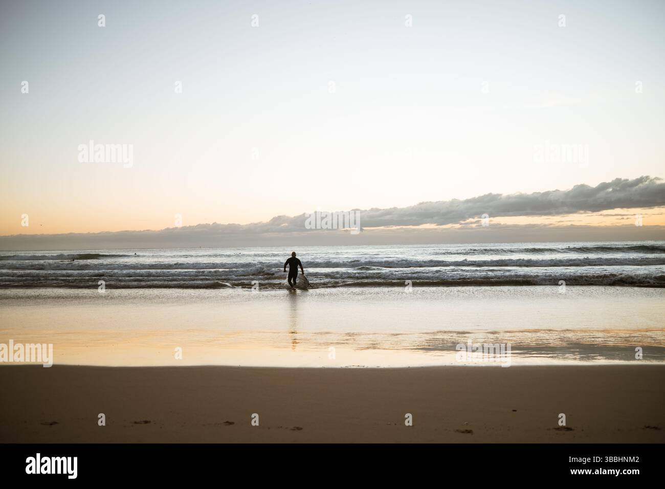 Surfer spazieren in den Ozean bei Sonnenaufgang am Manly Beach, Australien Stockfoto