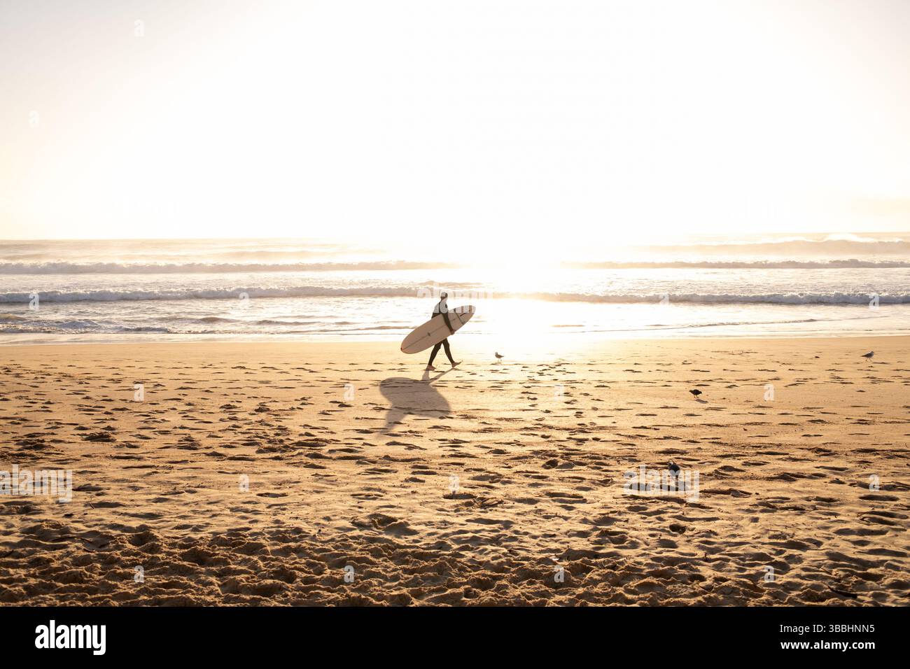 Surfer spazieren bei Sonnenaufgang am goldenen Manly Beach, Australien Stockfoto