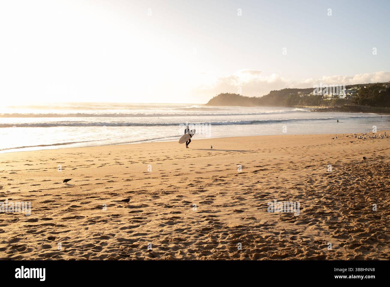 Surfer spazieren bei Sonnenaufgang am goldenen Manly Beach, Australien Stockfoto