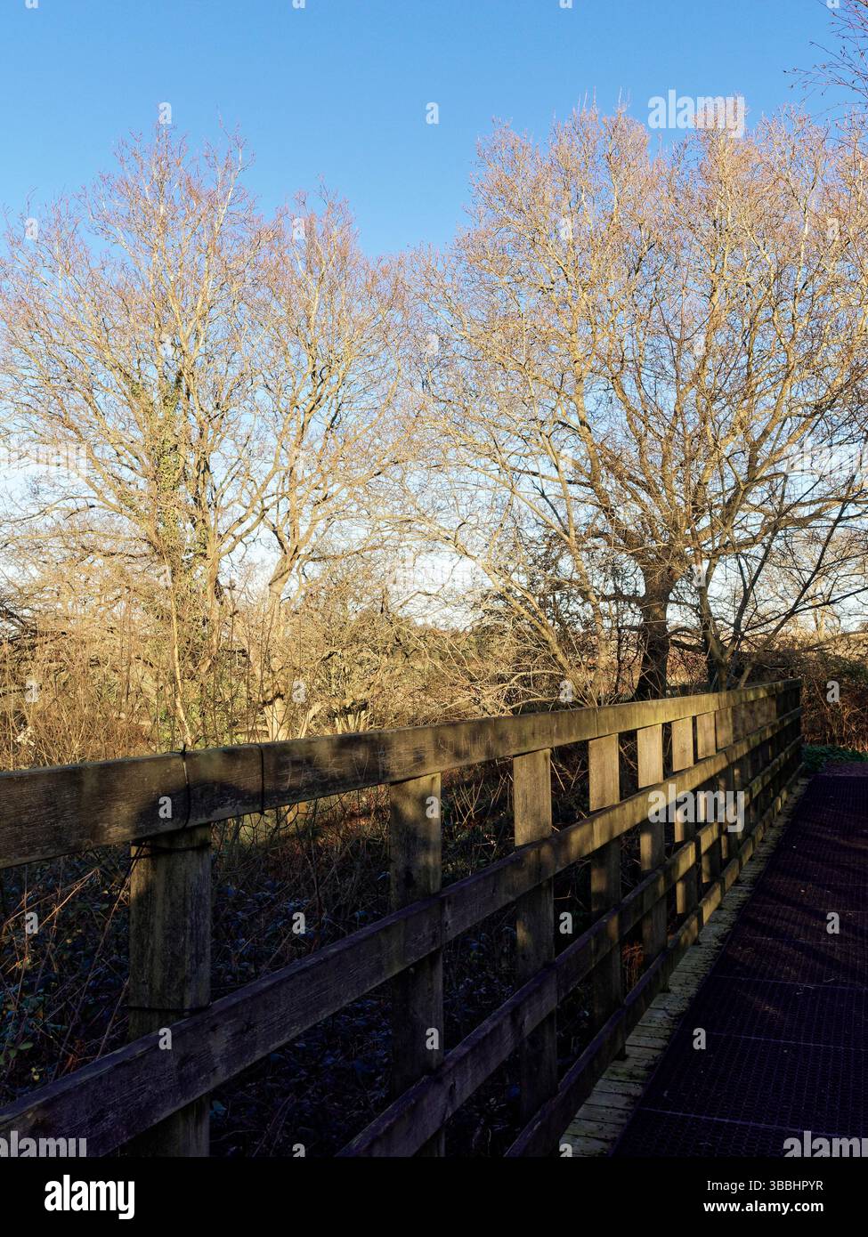 Die Honstation an der M&GN-Strecke nach Great Yarmouth wurde 1959 stillgelegt. Die Überreste werden von lokalen Freiwilligen gepflegt und die Strecke ist heute ein Fußweg. Stockfoto