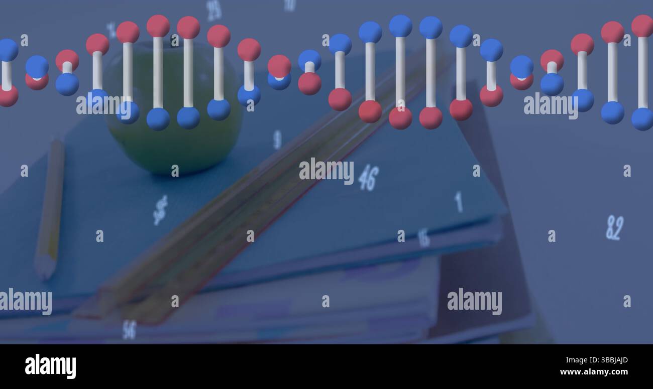 Bild des dna-Strangs, der sich mit dem Globus-Netzwerk von Verbindungen dreht Stockfoto