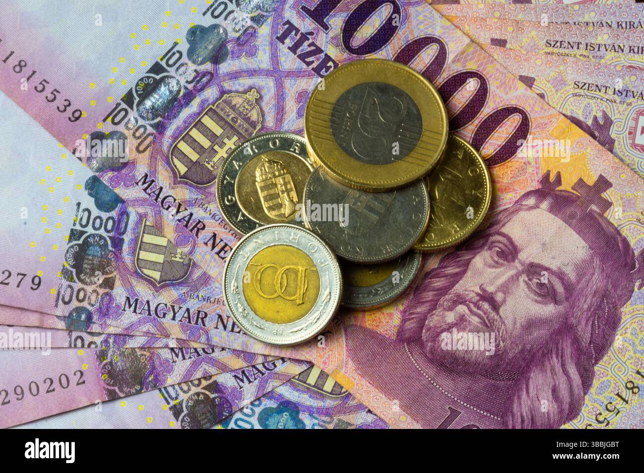 Ungarischer Forint Stockfoto