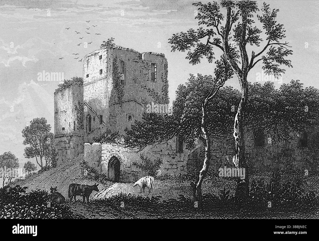 Der Westturm von Goodrich Castle, eine normannische mittelalterliche Burg in Herefordshire, England. Sie wurde ursprünglich von Godric von Mappestone nach der normannischen Eroberung erbaut und später im 13. Jahrhundert zu einer konzentrischen Festung ausgebaut. Von einer Zeichnung und einem Stich von Dugdales, um 1820. Aus einem viktorianischen und edwardianischen Scrapbook, das scheinbar von einer unbenannten Person zusammengestellt wurde. Stockfoto