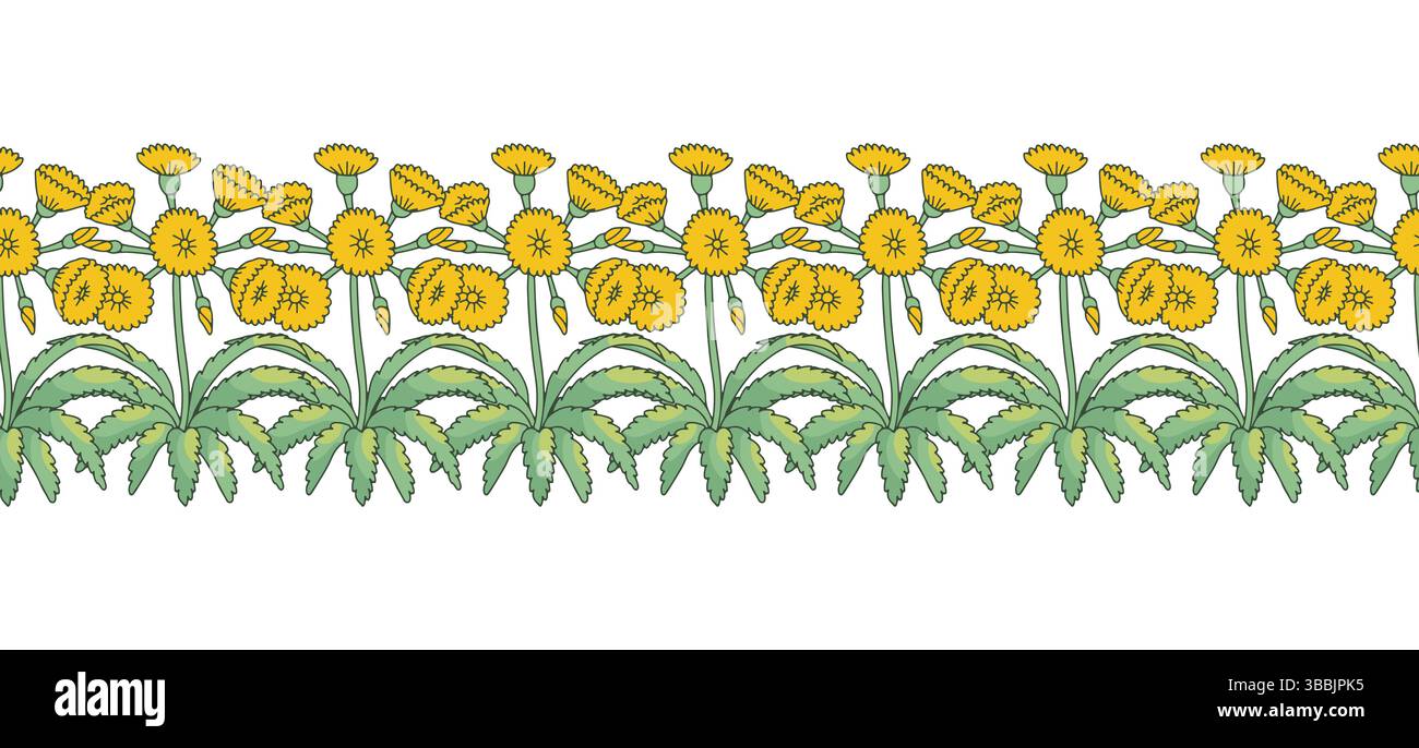 Streifenmuster mit Linienart kanarische Inseln Blumen Baum Sonchus. Horizontaler nahtloser Rand mit Blumenmuster Stock Vektor
