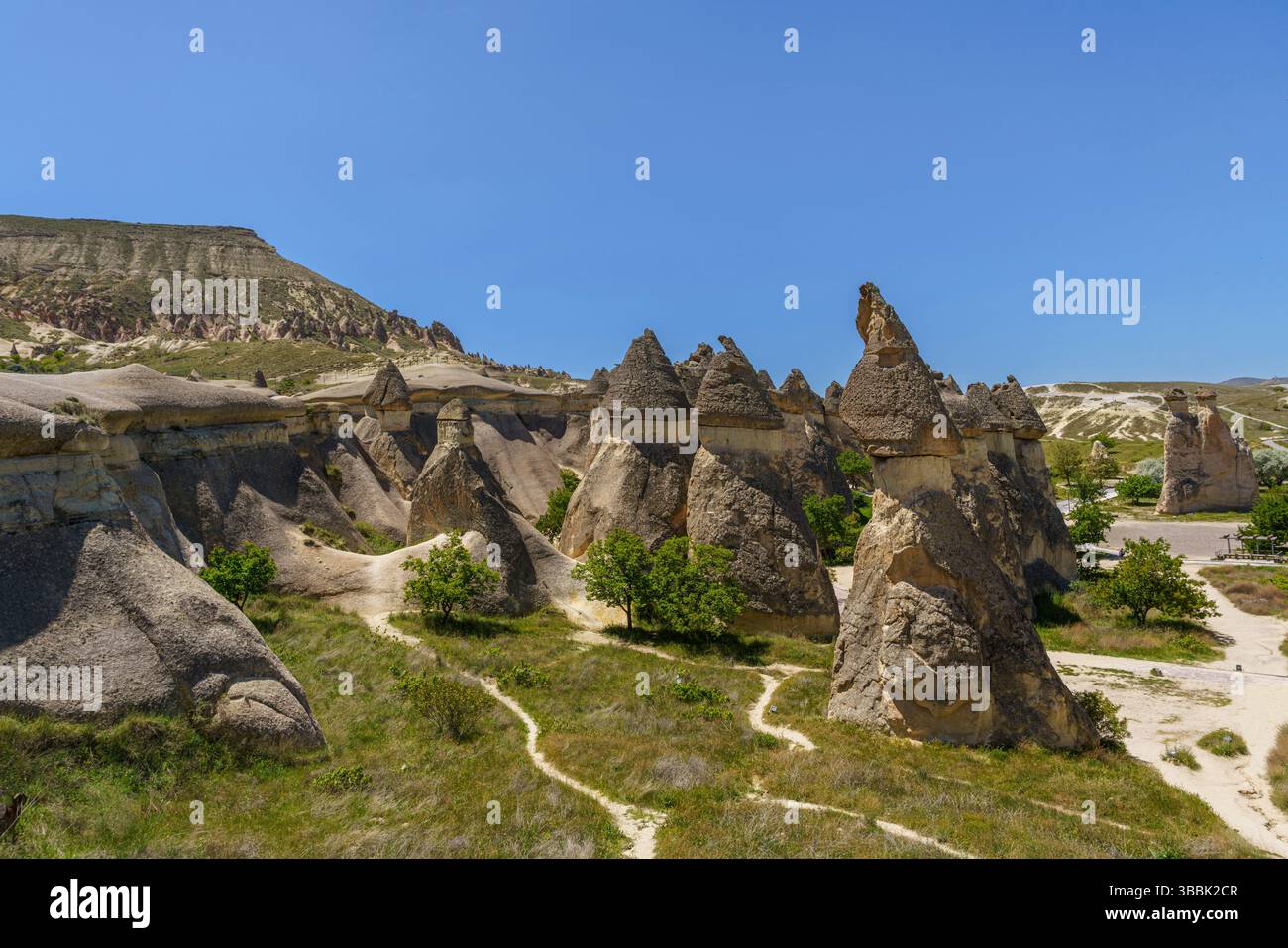 Ein gewundener Pfad führt durch Haufen von Feenkaminen und erodierten Zinnen im Pasabag Valley von Kappadokien. Stockfoto