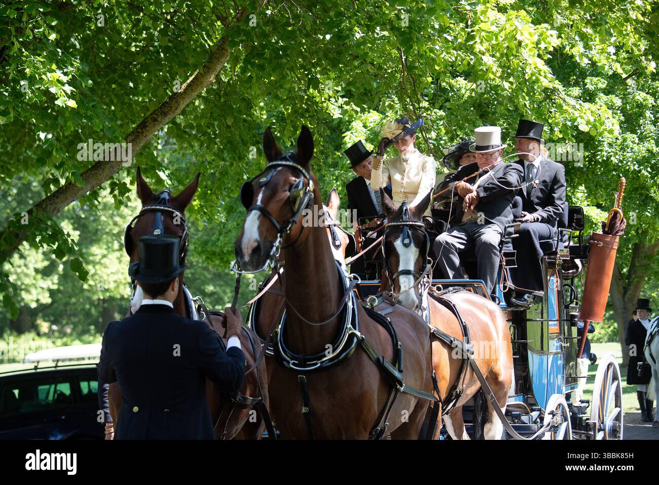 Windsor, Berkshire, Großbritannien. Mai 2025. Die schönen Pferde beim Coaching Marathon bei der Royal Windsor Horse Show. Die alten Kutschen werden von vier Pferden gezogen, und Passagiere sitzen heute in eleganten Outfits auf der Spitze, während sie durch den Windsor Great Park fuhren. Quelle: Maureen McLean/Alamy Live News Stockfoto