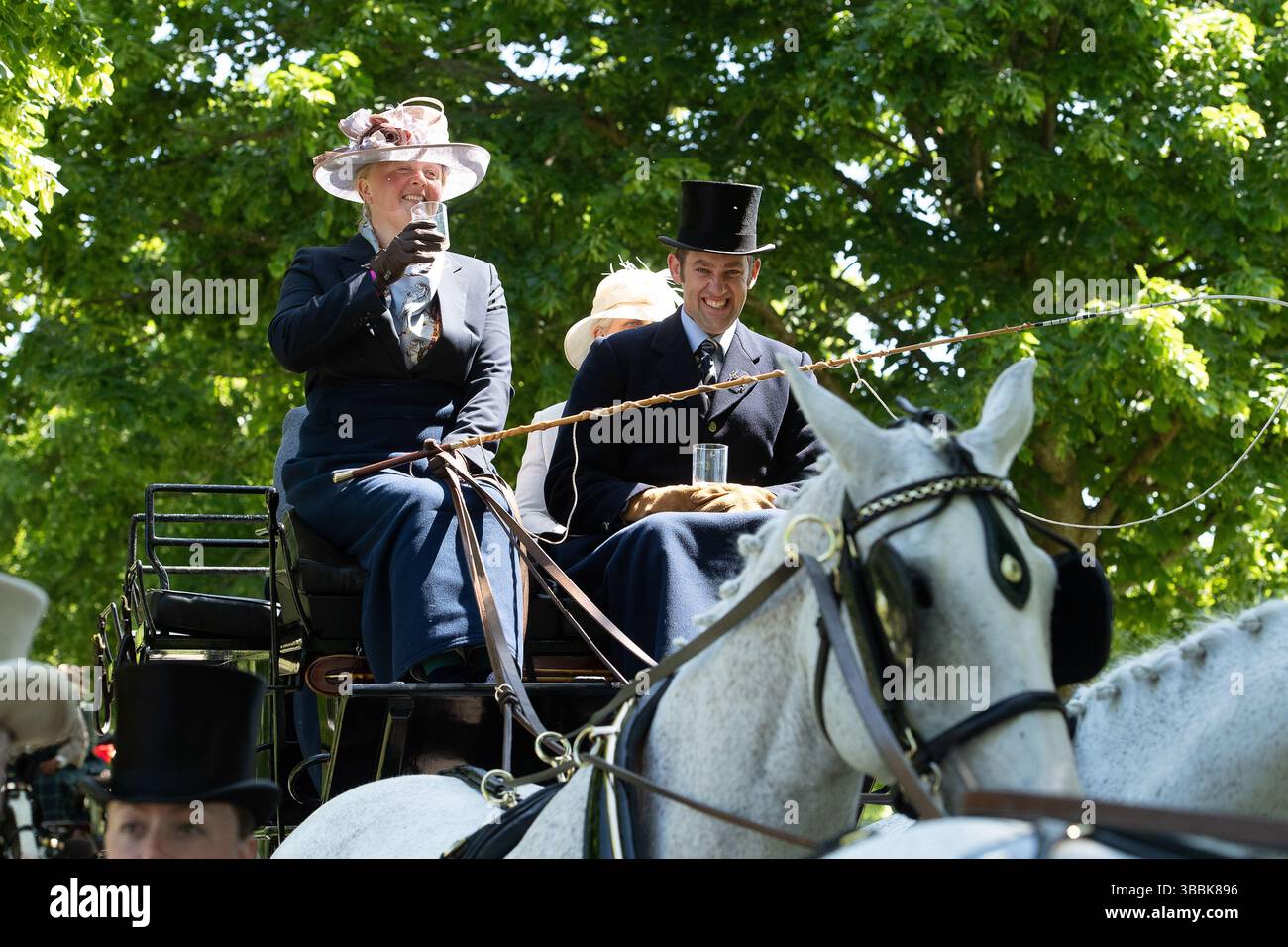 Windsor, Berkshire, Großbritannien. Mai 2025. Die schönen Pferde beim Coaching Marathon bei der Royal Windsor Horse Show. Die alten Kutschen werden von vier Pferden gezogen, und Passagiere sitzen heute in eleganten Outfits auf der Spitze, während sie durch den Windsor Great Park fuhren. Quelle: Maureen McLean/Alamy Live News Stockfoto