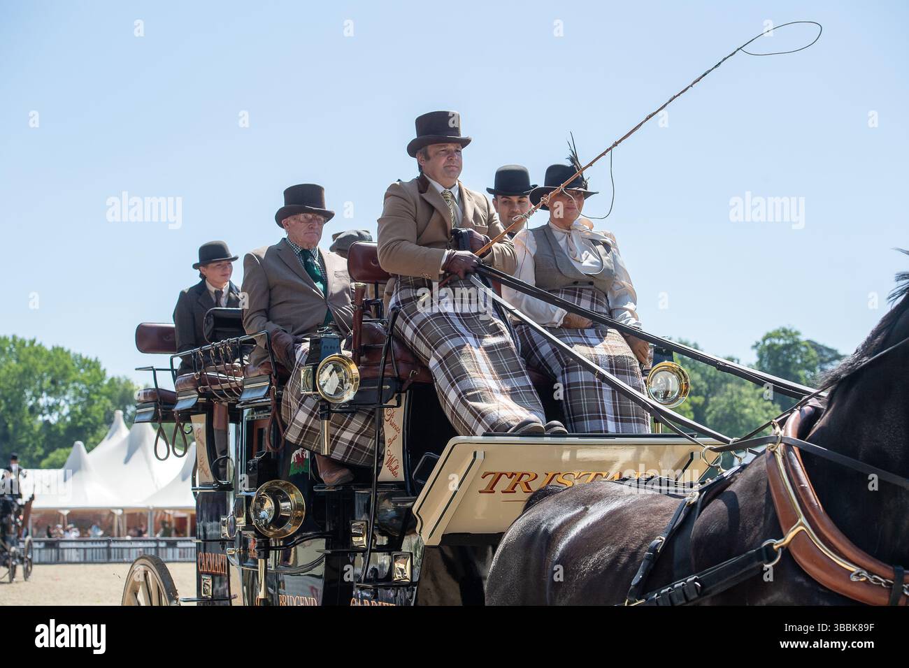 Windsor, Berkshire, Großbritannien. Mai 2025. Die schönen Pferde beim Coaching Marathon bei der Royal Windsor Horse Show. Die alten Kutschen werden von vier Pferden gezogen, und Passagiere sitzen heute in eleganten Outfits auf der Spitze, während sie durch den Windsor Great Park fuhren. Quelle: Maureen McLean/Alamy Live News Stockfoto