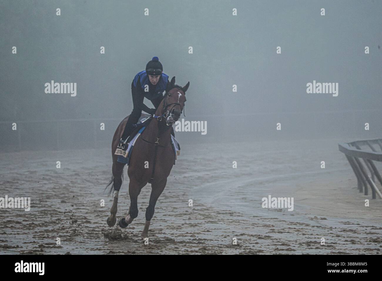 Baltimore City, USA. Mai 2025. Mai 2025, Pimlico Racetrack, Baltimore City, Maryland, USA. Medien, Pferdebegeisterte und Einheimische aus der Nachbarschaft versammelten sich, um Vollblüter beim Preakness-Pferderennen am Samstag zu beobachten. Preakness ist das zweite Juwel der drei Juwelen-Krone, aber es wird keine drei überfüllten Juwelen geben, da der Gewinner des Kentucky Derby nicht in Preakness antreten wird. (Foto: Robyn Stevens Brody/SIPA USA) Credit: SIPA USA/Alamy Live News Stockfoto