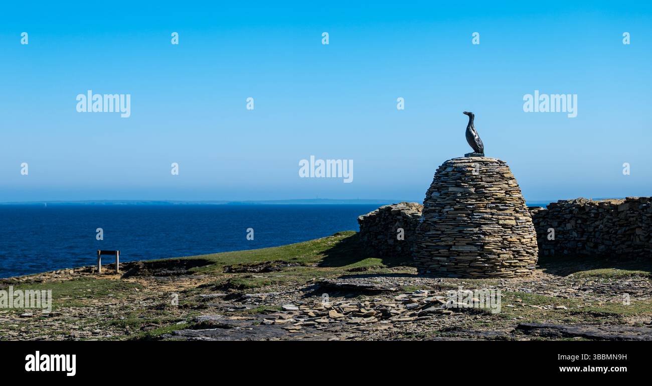 Papa Westrey, Orkney, Schottland, Vereinigtes Königreich, 16. Mai 2025. Am 23. April wurde eine Bronzeskulptur eines inzwischen ausgestorbenen Großen Auk (Pinguinus impennis) enthüllt, eine Gedenkstätte für den letzten Großen Auk, der auf Papa Westray getötet wurde. Es ist eine genaue Kopie der letzten riesigen Seevögel, die 1813 auf der Insel lebten. Sie wurde in den 1850er Jahren bis zum Aussterben gejagt Die ursprünglichen Überreste wurden gescannt und in Bronze gegossen, und das Konzept wurde von Jonathan Ford aka The Papay Ranger entworfen, der wegen seines Interesses an dem Vogel auf die Insel zog. Quelle: Sally Anderson/Alamy Live News Stockfoto