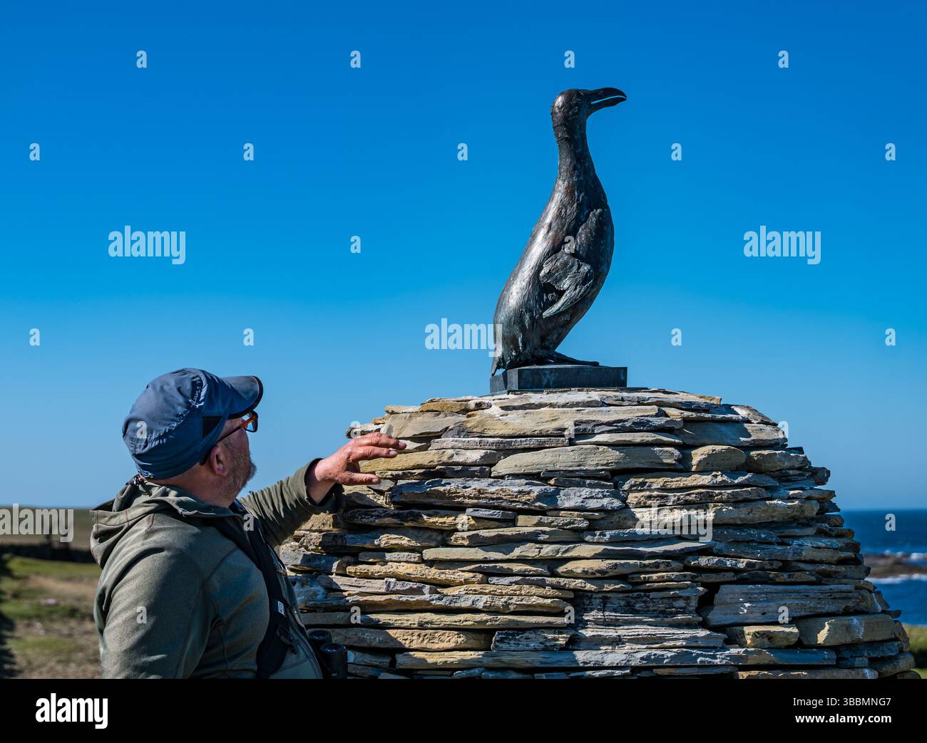 Papa Westrey, Orkney, Schottland, Vereinigtes Königreich, 16. Mai 2025. Am 23. April wurde eine Bronzeskulptur eines inzwischen ausgestorbenen Great Auk enthüllt, eine Gedenkstätte für den letzten Great Auk, der auf Papa Westray getötet wurde. Es ist eine genaue Kopie der letzten riesigen Seevögel, die 1813 auf der Insel lebten. Sie wurde in den 1850er Jahren bis zum Aussterben gejagt Die ursprünglichen Überreste wurden gescannt und in Bronze gegossen, und das Konzept wurde von Jonathan Ford aka The Papay Ranger entworfen, der wegen seines Interesses an dem Vogel auf die Insel zog (siehe Abbildung). Quelle: Sally Anderson/Alamy Live News Stockfoto