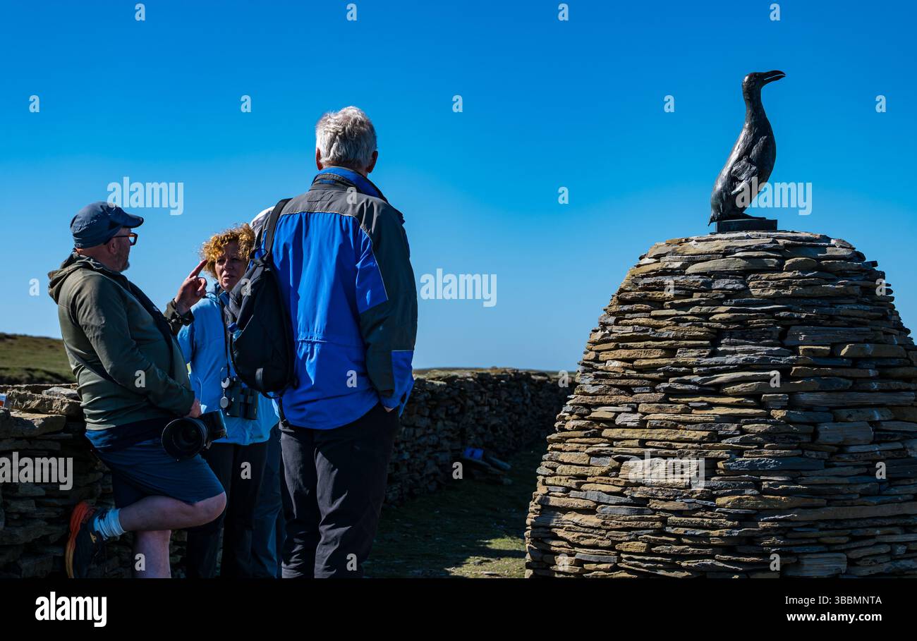 Papa Westrey, Orkney, Schottland, Vereinigtes Königreich, 16. Mai 2025. Am 23. April wurde eine Bronzeskulptur eines inzwischen ausgestorbenen Great Auk enthüllt, eine Gedenkstätte für den letzten Great Auk, der auf Papa Westray getötet wurde. Es ist eine genaue Kopie der letzten riesigen Seevögel, die 1813 auf der Insel lebten. Sie wurde in den 1850er Jahren bis zum Aussterben gejagt Die ursprünglichen Überreste wurden gescannt und in Bronze gegossen, und das Konzept wurde von Jonathan Ford aka The Papay Ranger entworfen, der wegen seines Interesses an dem Vogel auf die Insel zog (siehe Abbildung). Quelle: Sally Anderson/Alamy Live News Stockfoto