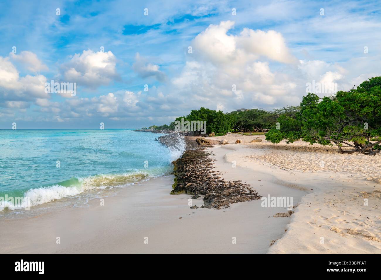 Unter einem leuchtenden Aruba-Himmel präsentiert sich der idyllische Eagle Beach mit seinem weichen, einladenden Sand und den ruhigen Wellen. Stockfoto