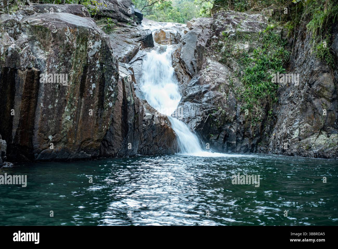 Finch Hatton Gorge Stockfoto