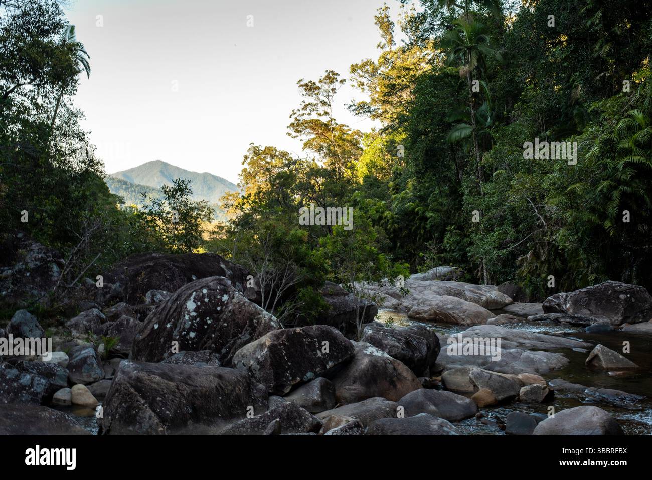 Finch Hatton Gorge Stockfoto