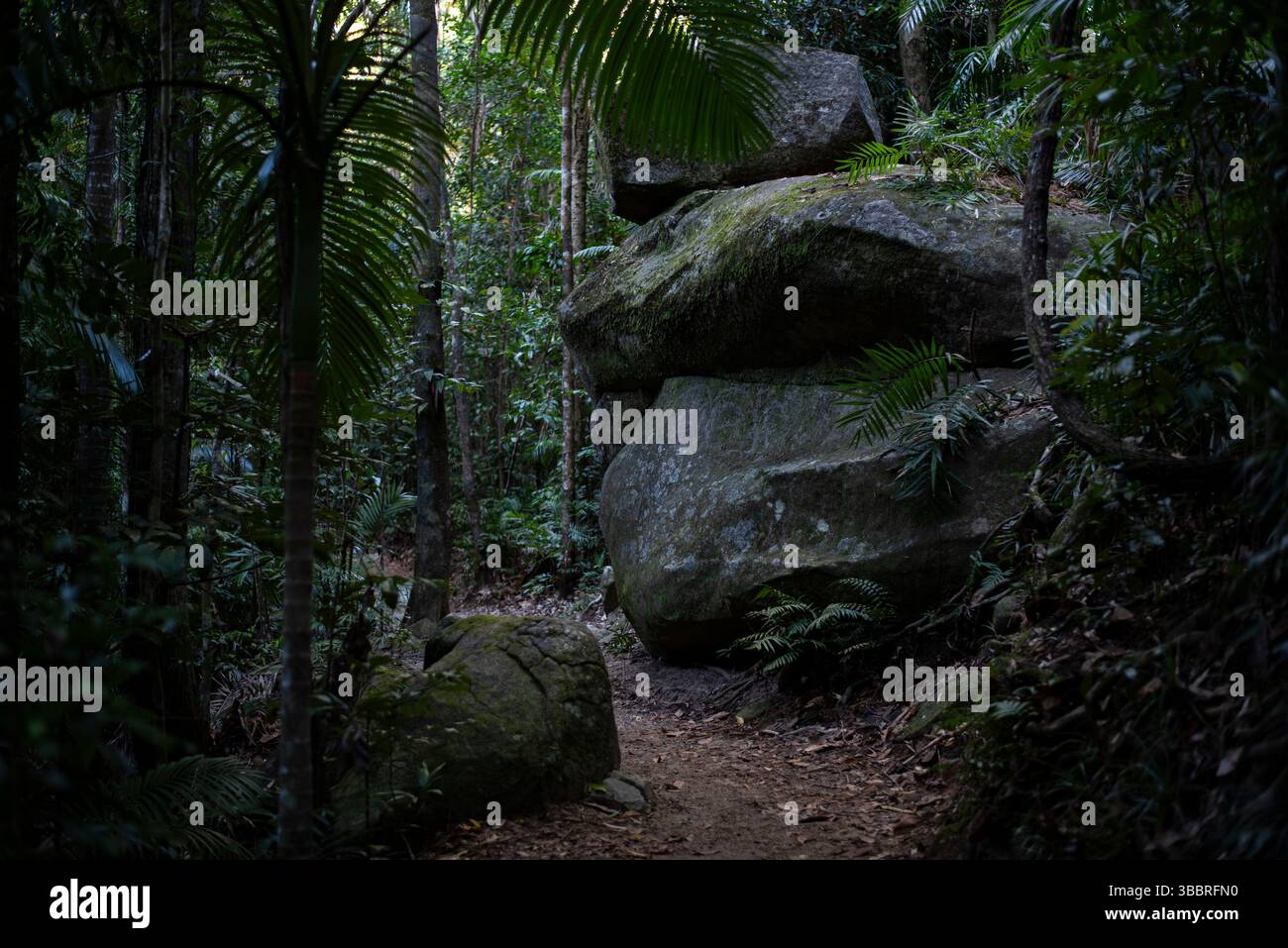 Finch Hatton Gorge Stockfoto